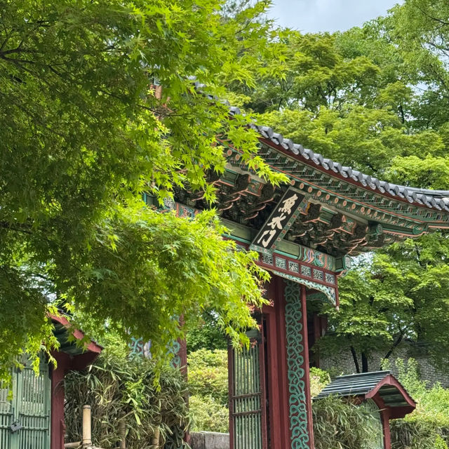 🇰🇷 Hidden Gem in Seoul | Secret Garden of Changdeokgung Palace