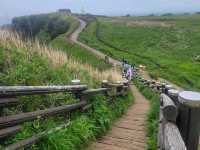 Relaxing Jeju trip with family