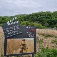 Chungju Forest & Hot Spring Feels