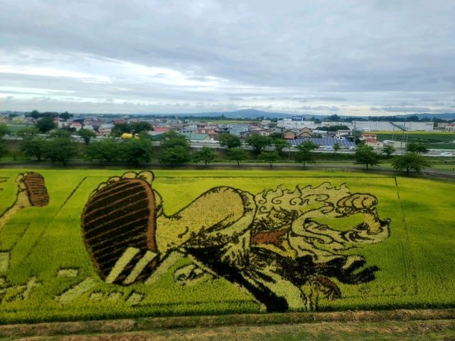 Inakadate Village Observation Deak(논아트, 단보아트, 아오모리현)