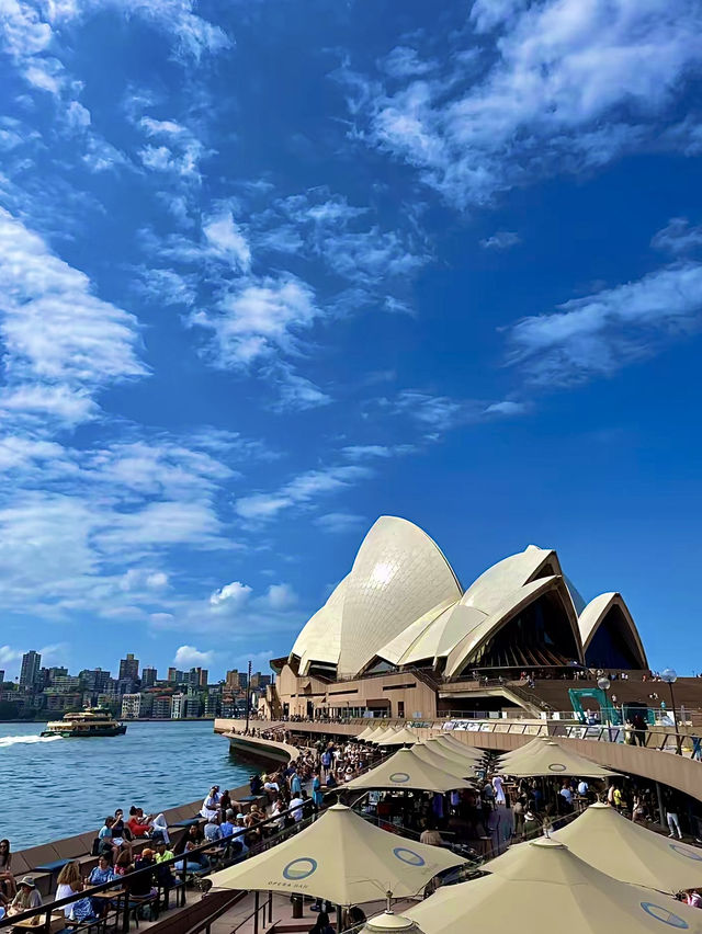 ออสเตรเลีย🇦🇺