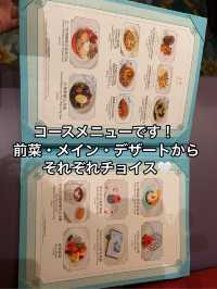 【上海ディズニー】イルミネイトを良い位置で鑑賞したい方へ