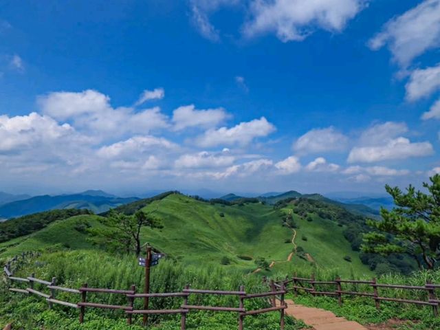 Rolling Hills & Feels