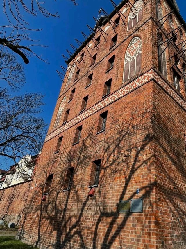 Europe 🌍 Torun Vibes – Medieval Streets & Gingerbread Dreams! ✨🍪