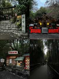 🇯🇵 Arashiyama is one of the kind