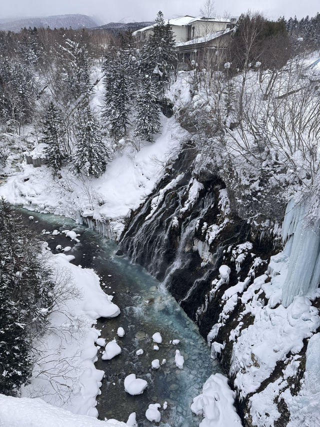 Hokkaido trip 