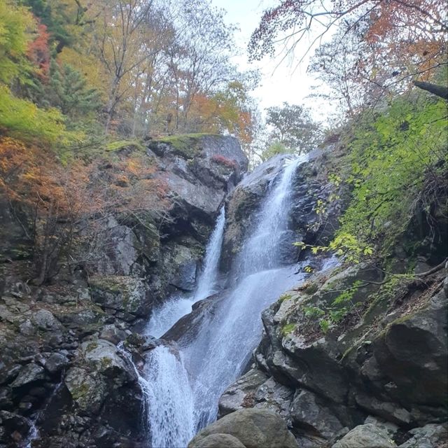 Nature & Vibes Near Sansuhwa Pension