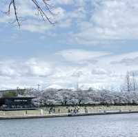 富山環水公園の景色
