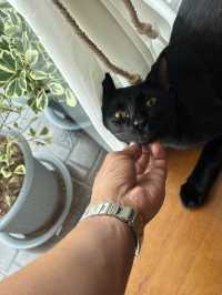 aemdu.du คาเฟ่เปิดใหม่ย่านพระยาสัจจา ชลบุรี