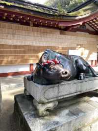 Dazaifu Tenmangu ขอพรเรื่องเรียนในบรรยากาศญี่ปุ่น