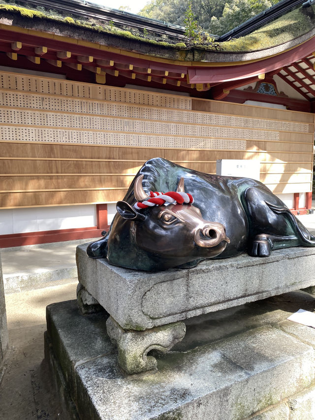 Dazaifu Tenmangu ขอพรเรื่องเรียนในบรรยากาศญี่ปุ่น