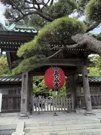  🪷【鎌倉・長谷寺】海と花と観音さまに癒される、やすらぎの寺
