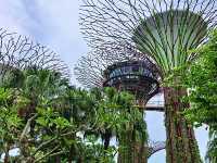 เที่ยวสิงคโปร์ 🇸🇬