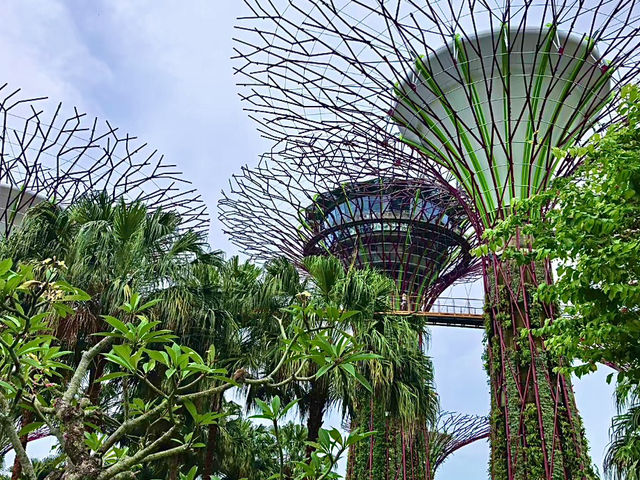 เที่ยวสิงคโปร์ 🇸🇬