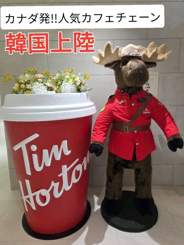 カナダ発★人気カフェが韓国上陸！！TimHortons