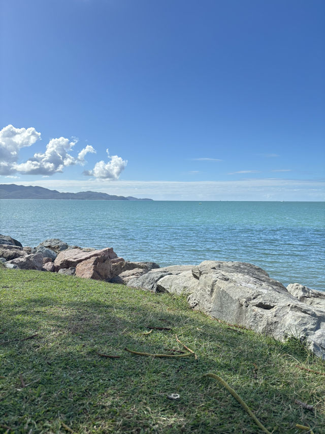 Picnic spot , the strand (Townsville, qld) 🇦🇺