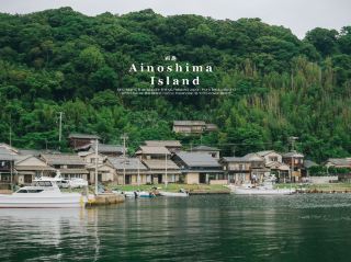 We will take you to an island with a population of more than a hundred cats🐈