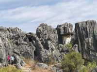 Must Visit - Magical Sone Forest Yunnan , UNESCO site 