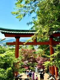 🌸⛩️ 3D2N Mt. Fuji, Hakone & Kamakura Scenic Escape! 🗻🚞✨