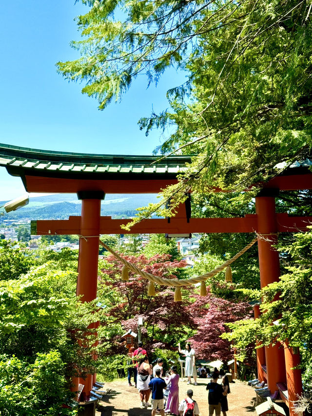 🌸⛩️ 3D2N Mt. Fuji, Hakone & Kamakura Scenic Escape! 🗻🚞✨