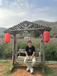 2 Days in Khao Yai: Wine, Flowers & Hidden Gems – My Private Tour Experience from Bangkok 🍷🌻
