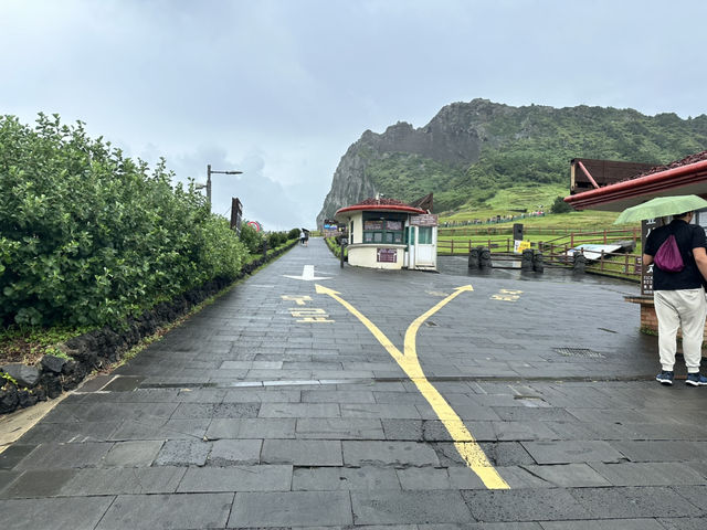 🌄「征服濟州曙光之巔！站上世界遺產的壯闊視角」 