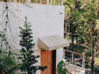  Cafe & Stay ริมลำธาร เชียงใหม่