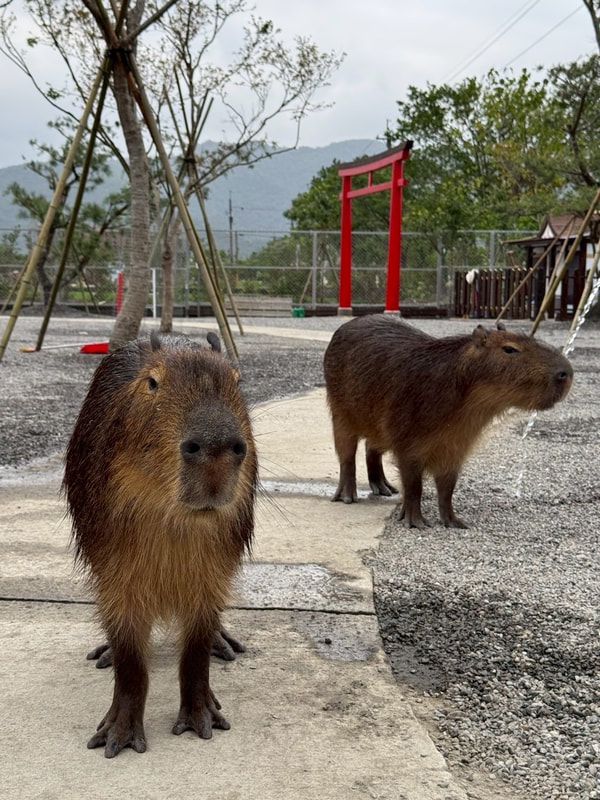 宜蘭最適合全家大小一起笑的地方