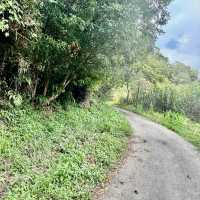 石龜坑山古道巡禮