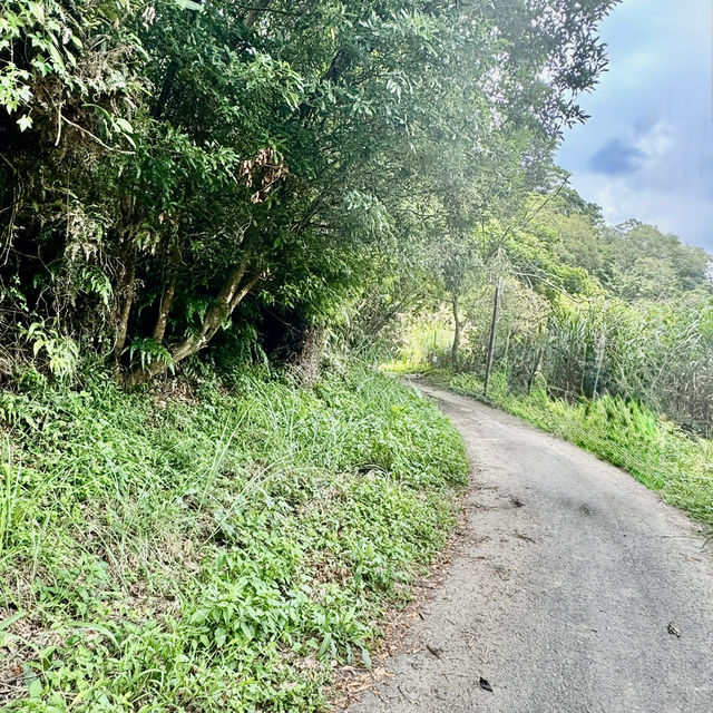 石龜坑山古道巡禮