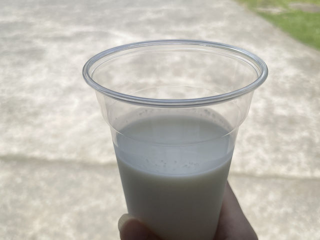 魅力たくさん！ 初夏の館山