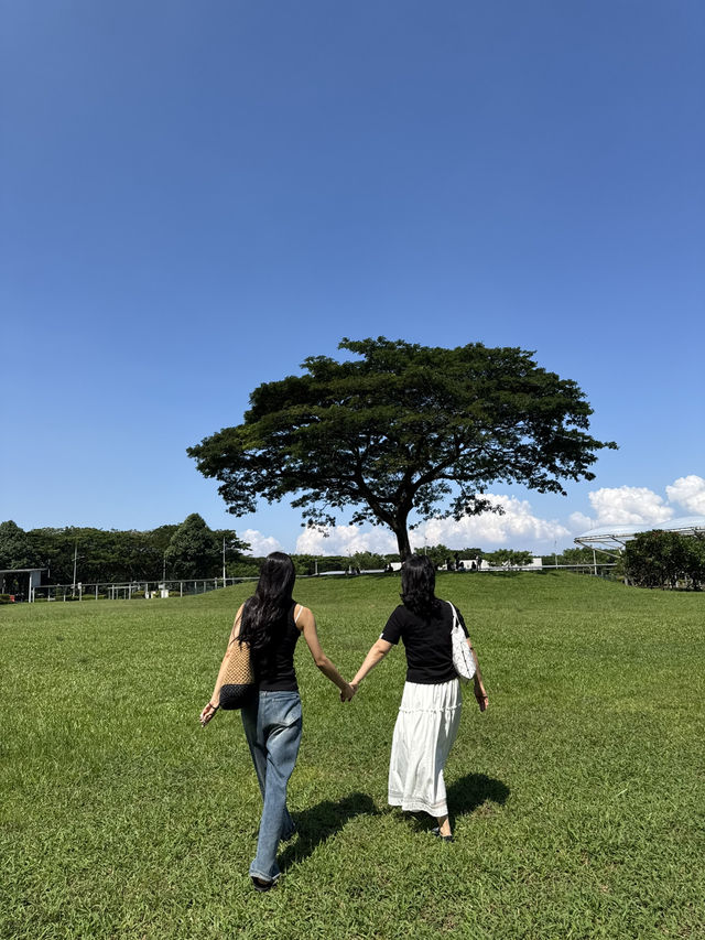 싱가포르를 가야만 하는 이유 ❤️🇸🇬