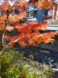 紅葉の修善寺