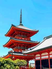 A Quiet Path Through Fushimi Inari Taisha