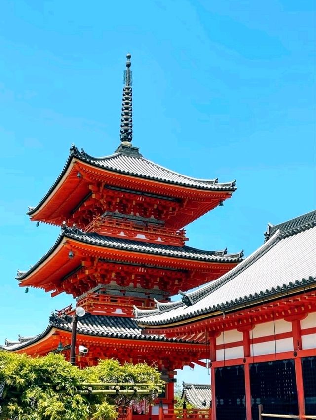 A Quiet Path Through Fushimi Inari Taisha
