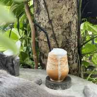 คาเฟ่ในสวน Tree House Cafe ณ หัวหิน