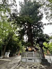 「神様って、本当にいるのかも…」そんな感覚に包まれる場所が、長野にはあります。