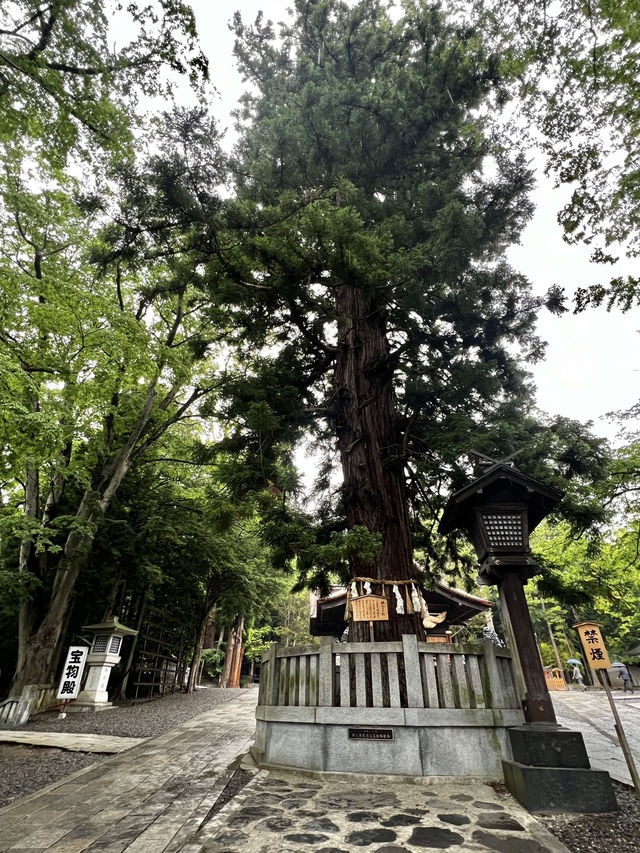 「神様って、本当にいるのかも…」そんな感覚に包まれる場所が、長野にはあります。