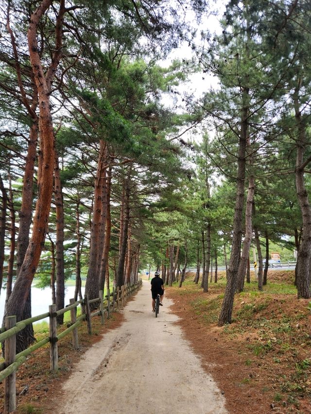 💖고성여행 중 자전거로 특별한 추억을 남겨요 "송지호 둘레길 자전거대여소💖