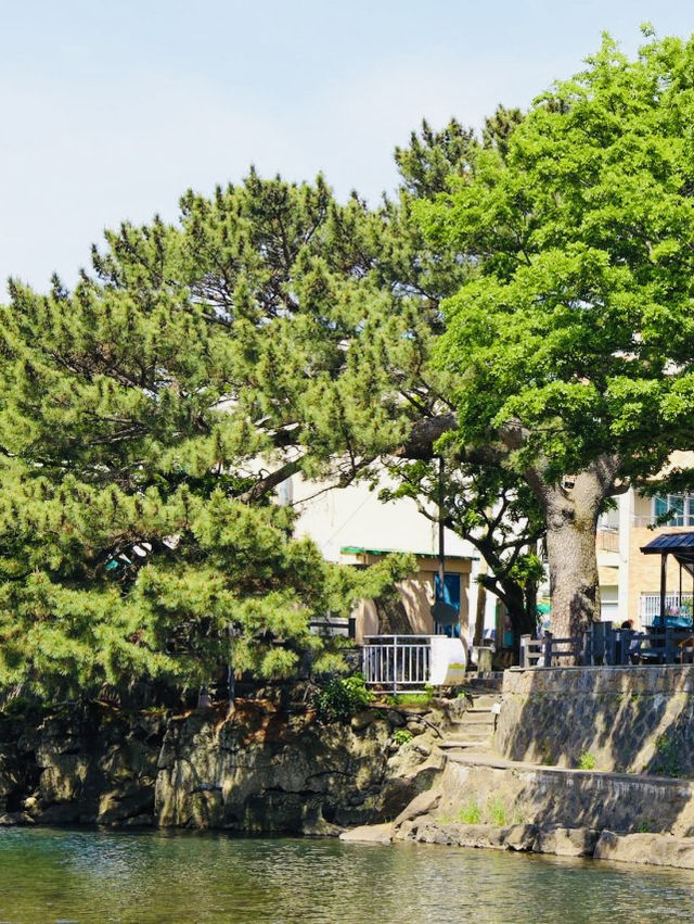 A Serene Meeting Point of Valley and Sea