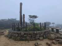 三重山頂秘境！絕美公園四季皆風景！