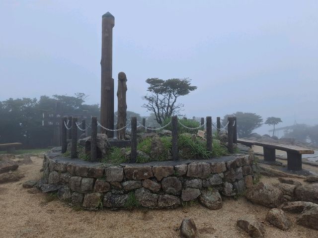 三重山頂秘境！絕美公園四季皆風景！