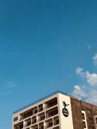 Jeju City's Vibrant Waterfront Hub