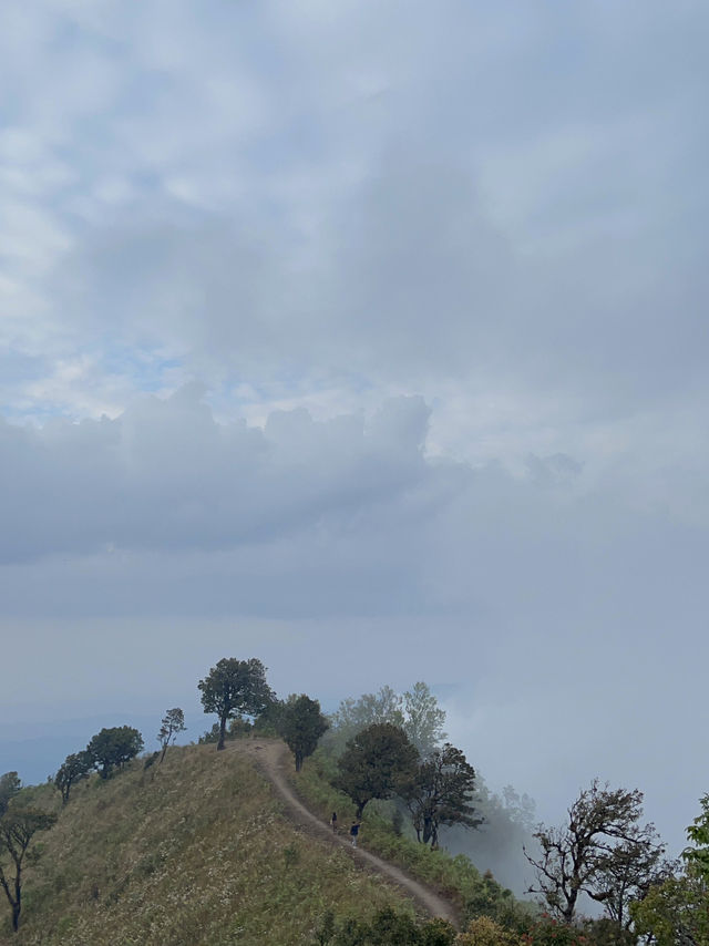 HIDDEN GEM: ผาสองฤดู เชียงใหม่