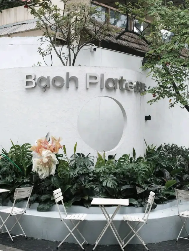 Bạch Plateaus