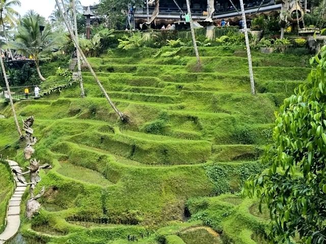 Discover the Charms of Alas Harum Bali