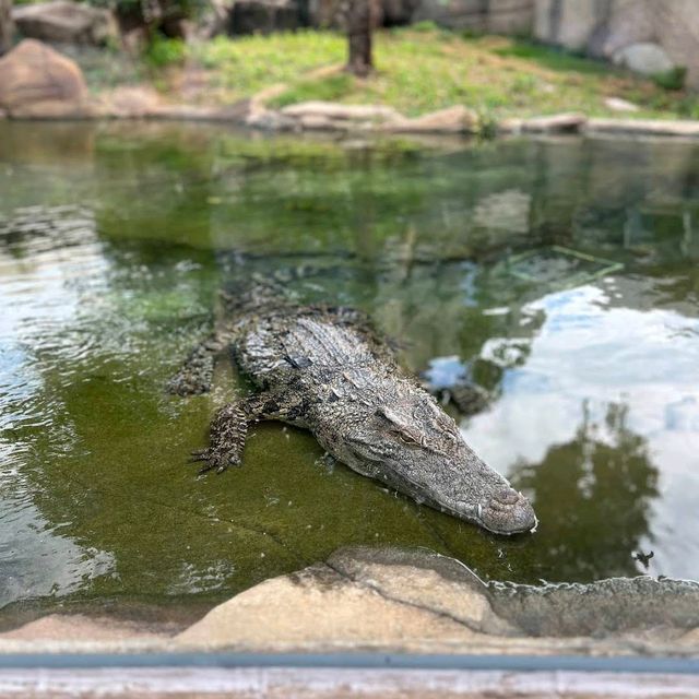 Ocean Park Hong Kong