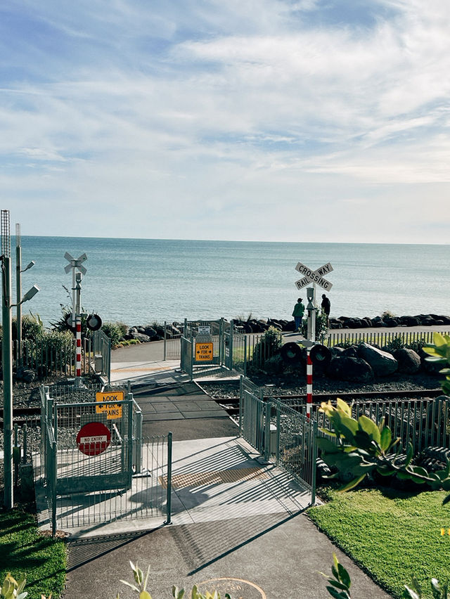 🚦 New Plymouth 海邊鐵道平交道｜紐西蘭版灌籃高手場景？