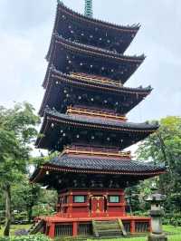 Peaceful Strolls at Ueno Park – A Calm Corner in Tokyo