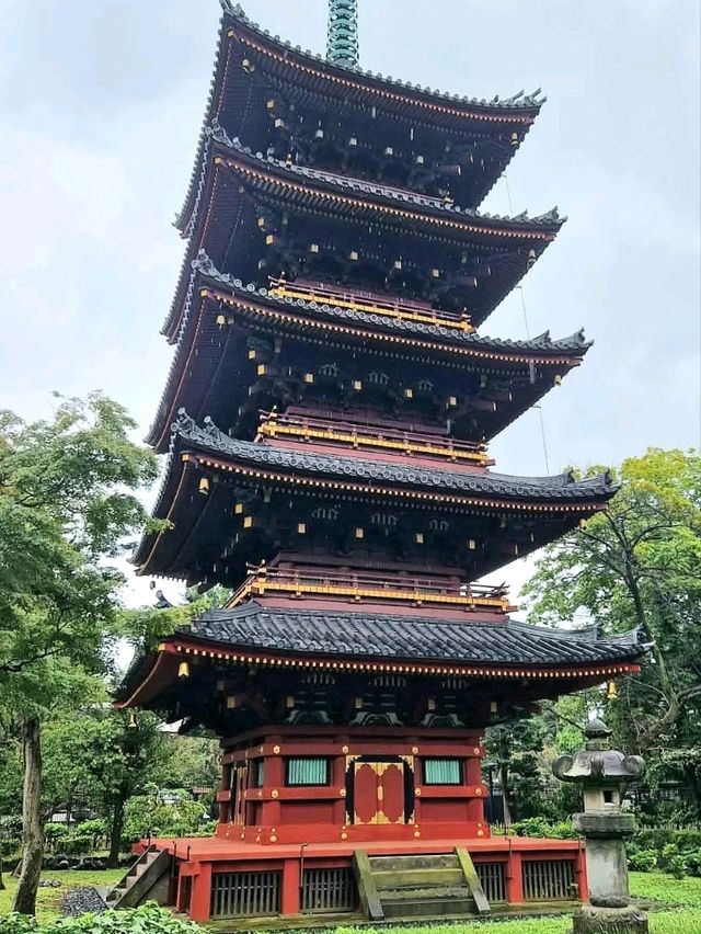 Peaceful Strolls at Ueno Park – A Calm Corner in Tokyo